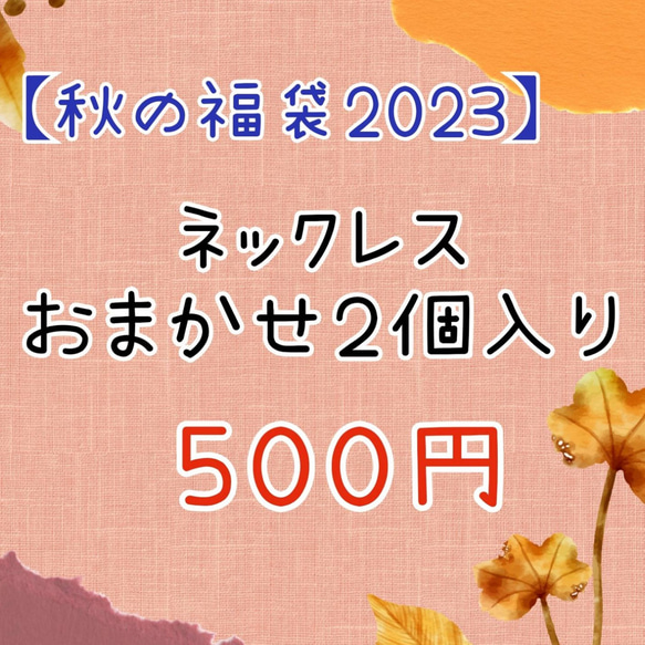 秋の福袋★ネックレスおまかせ2本入り 1枚目の画像