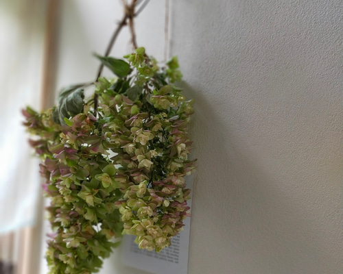 43ad37d4963b3ad3742de5e26343f4