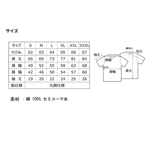  第3張的照片