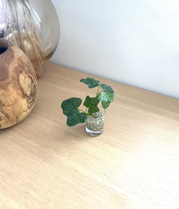 【再販】■本物そっくり枯れない観葉植物■ミニ　フェイクグリーン　葉　水やり無し　枯れない　虫つかない　世話いらず 3枚目の画像