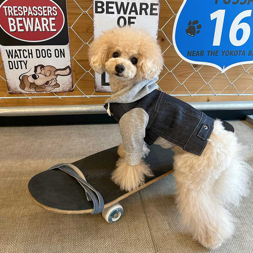 重ね着風Gジャンはストレッチデニムとスウェットで動きやすくしました