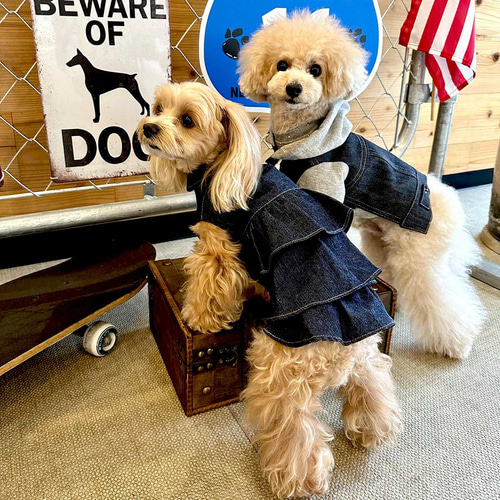 犬服^ ^重ね着 重ね着風Gジャンはストレッチデニムとスウェットで動きやすくしました