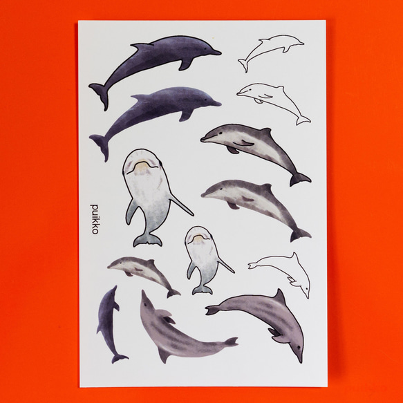 紋身貼紙海豚 第1張的照片