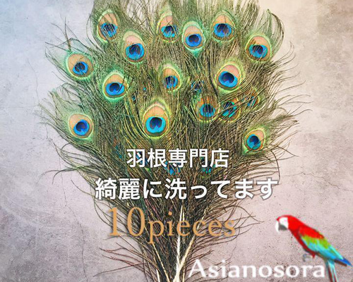 上品なブランド 5857ab2b56b8e331b08d3cf4f8e5d5 その他