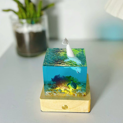 Resin Light 海洋手工树脂摆件/ 环氧树脂工艺品/海洋世界礼物 第3張的照片