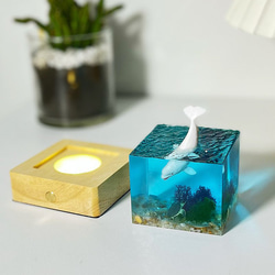 Resin Light 海洋手工树脂摆件/ 环氧树脂工艺品/海洋世界礼物 第5張的照片