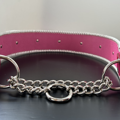 犬の本革ハーフチョークNo.262(大型犬) リード・首輪 Dear Dogs Fint  