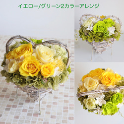 プリザ薔薇のイエロー/グリーンよくばり２カラー（クリアケース入り）プリザーブドフラワー期間限定 1枚目の画像