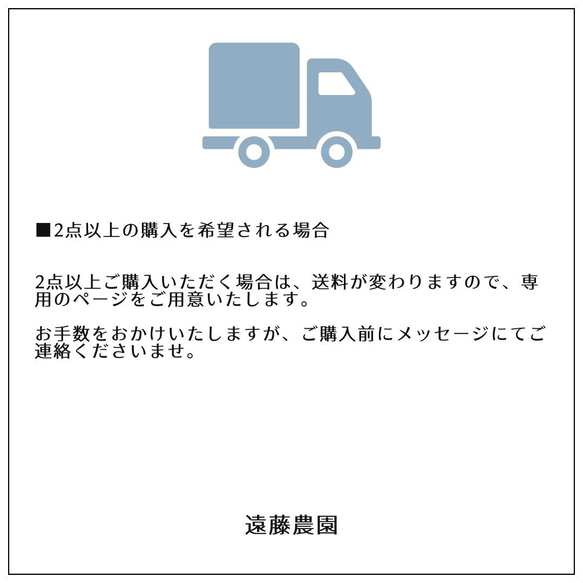 今が旬！朝採り 当日発送 いちじく 桝井ドーフィン 約400g×4パック 産地直送 11枚目の画像