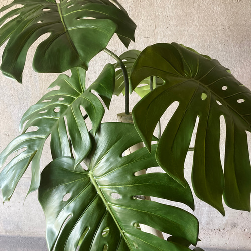 光触媒人工観葉植物ウォールグリーンフェイクグリーンモンステラバリエ1