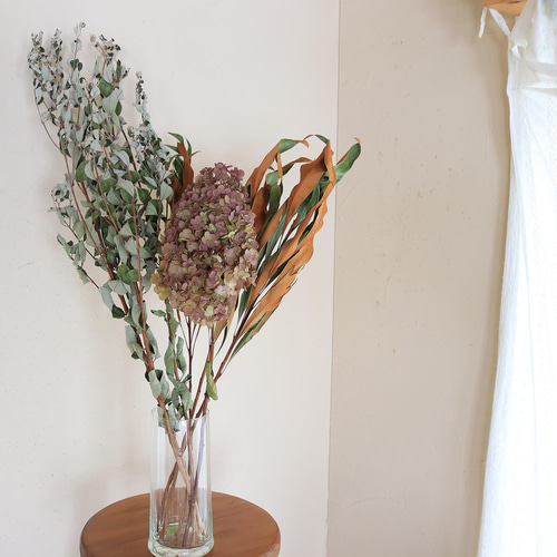 ドライフラワー】グレビレア ゴールドリーフ M / ネイティブフラワー