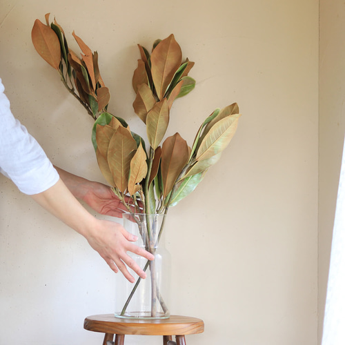 タイサンボク 枝 中型 ドライフラワー 大枝 長さ70～90cm