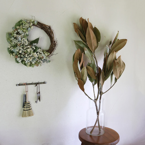 タイサンボク 枝 中型 ドライフラワー 大枝 長さ70～90cm