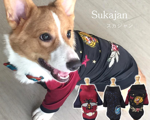 07aa312165bf6c1ed067c6794db068