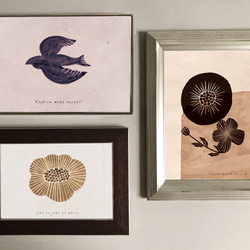 【北欧の自然詰め合わせ】(ポスター・シール・ポストカード・ステッカー） 5枚目の画像