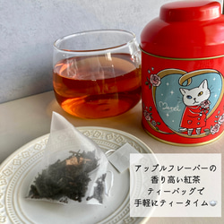 アンジー・ラ・コケット☆麗しのアンジー　紅茶缶【5缶】セット ※送料無料 9枚目の画像