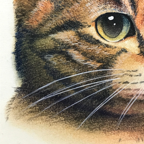 猫の絵ドローイング原画④
