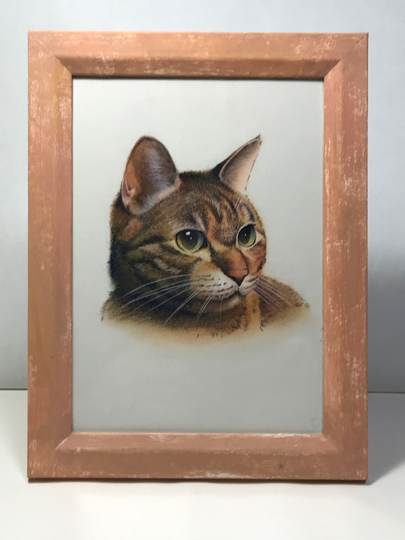 猫　イラスト　インテリア　原画 フレーム付き猫イラスト原画4 イラスト シミズ ユタカ 通販