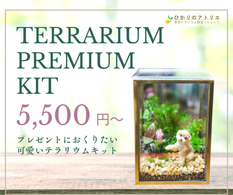 【動画で作る苔テラリウムキット】キューブガーデン・トイプードル／説明書付き