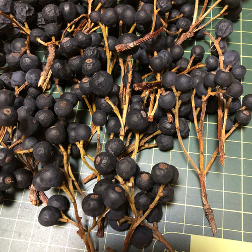 ドライフラワー 50本 シャリンバイの実 木の実 リース花材 クリスマス