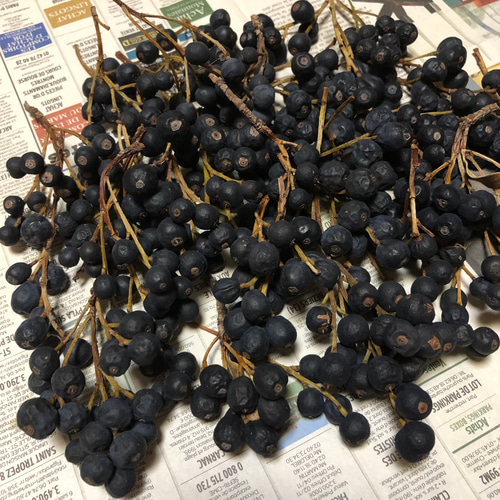 ドライフラワー 50本 シャリンバイの実 木の実 リース花材 クリスマス