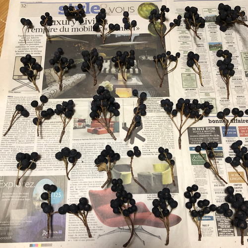 ドライフラワー 50本 シャリンバイの実 木の実 リース花材 クリスマス