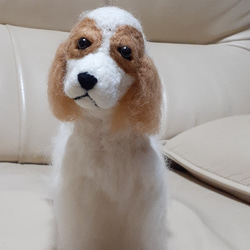 羊毛フェルト　アメリカンコッカースパニエル 2aff74c8aef25ae4c88841ae9fa8c0