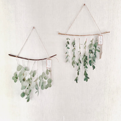 ポポラスユーカリガーランドアレンジ 予約販売】 ユーカリ ガーランド 2本 吊るし飾り ＊ 枝 ドライ