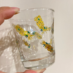 アオリイカの稚イカ　日本酒グラス 3枚目の画像
