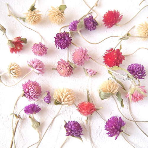 素材】40本♪茎付き千日紅ミックス♪ナチュラル(無着色)*席札、結婚式  