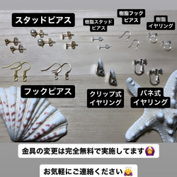 【送料無料】青　波　海　貝殻　タカラガイ　47 3枚目の画像
