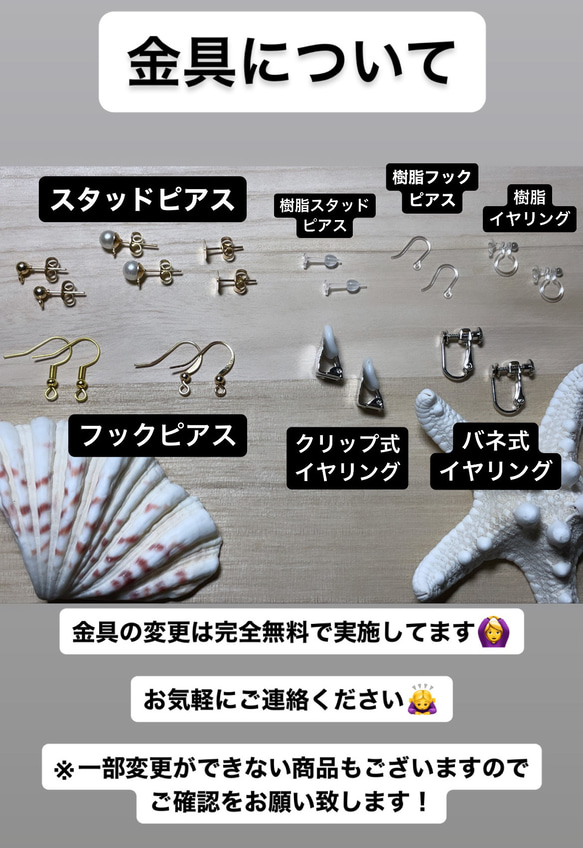 【送料無料】青　波　海　貝殻　タカラガイ　47 3枚目の画像