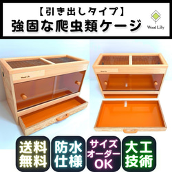 強固な爬虫類「引き出しケージ」120×60×60cm◇送料無料 #爬虫類 強固な爬虫類「引き出しケージ」120×60×60cm◇送料無料 #爬虫類