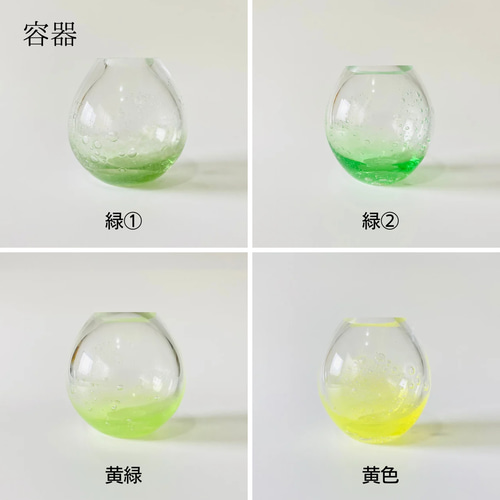 受注制作]オーダーメイドスノードーム《色付き容器》 その他