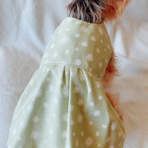 犬服デイジー☆様ハンドメイド