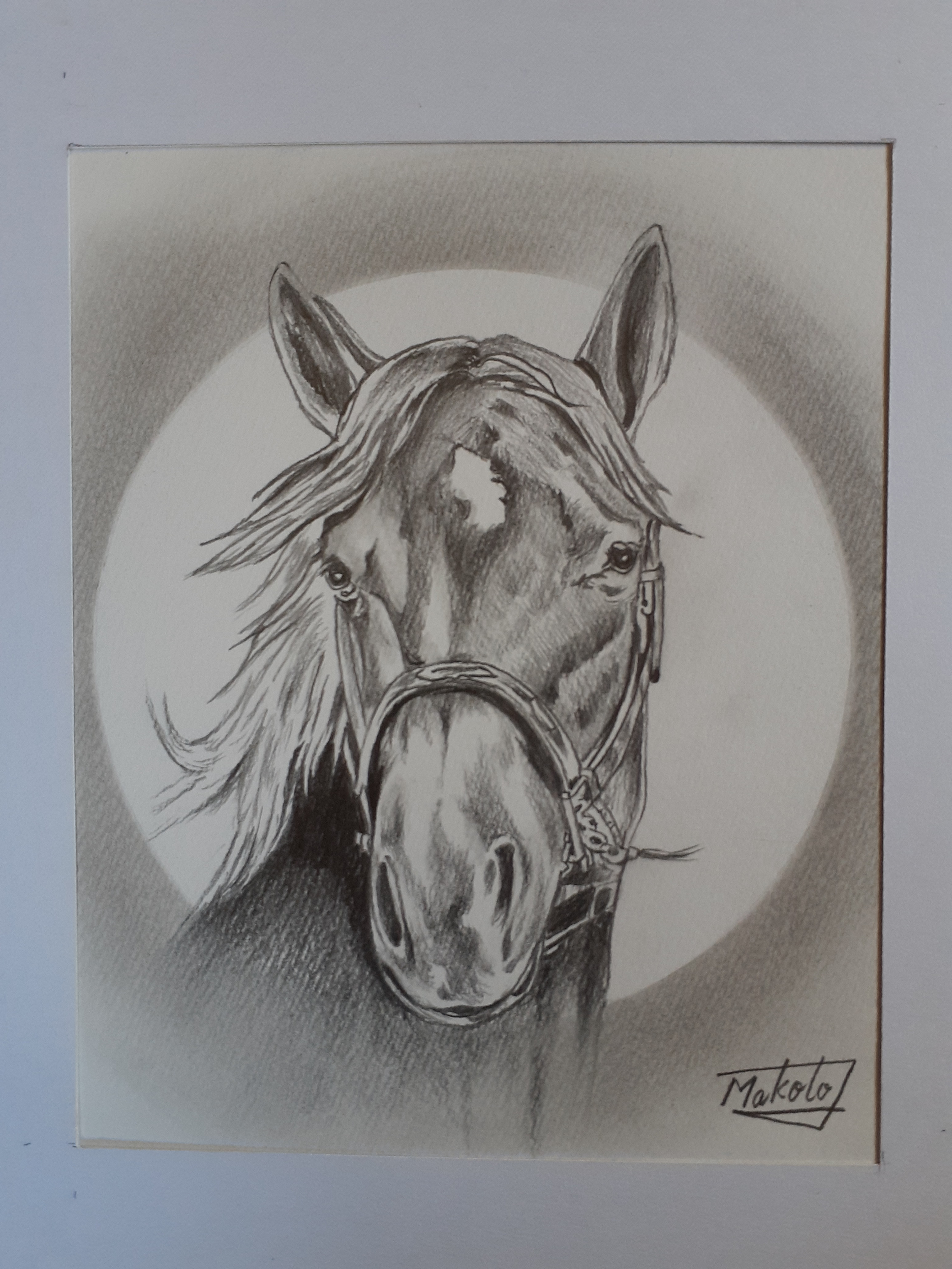 色鉛筆画 原画 メイケイエール 手描き イラスト No.50 馬 色鉛筆画 原画 メイケイエール 手描き イラスト No.50 馬