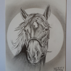 色鉛筆画 原画 メイケイエール 手描き イラスト No.50 馬