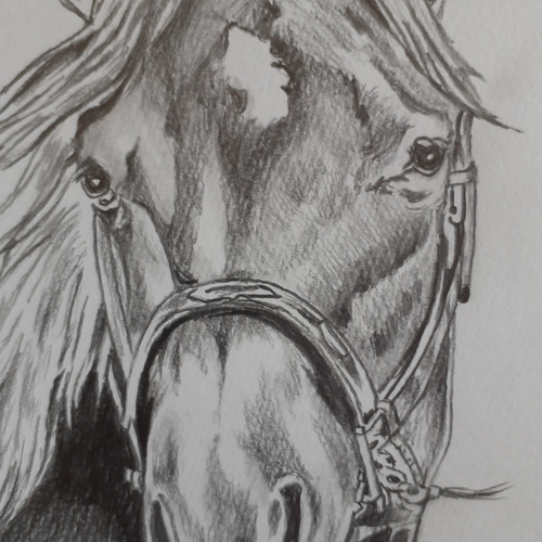 色鉛筆画 原画 メイケイエール 手描き イラスト No.50 馬 リアル色鉛筆画(ポストカード) メイケイエール No.50 - メルカリ