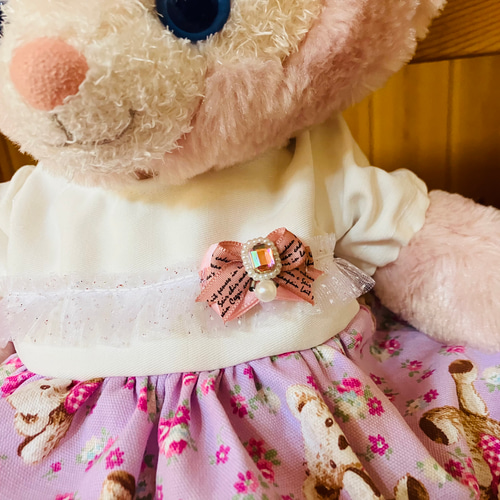 2着セット♡ お揃いコスチューム テディベア柄 シェリーメイ クッキー
