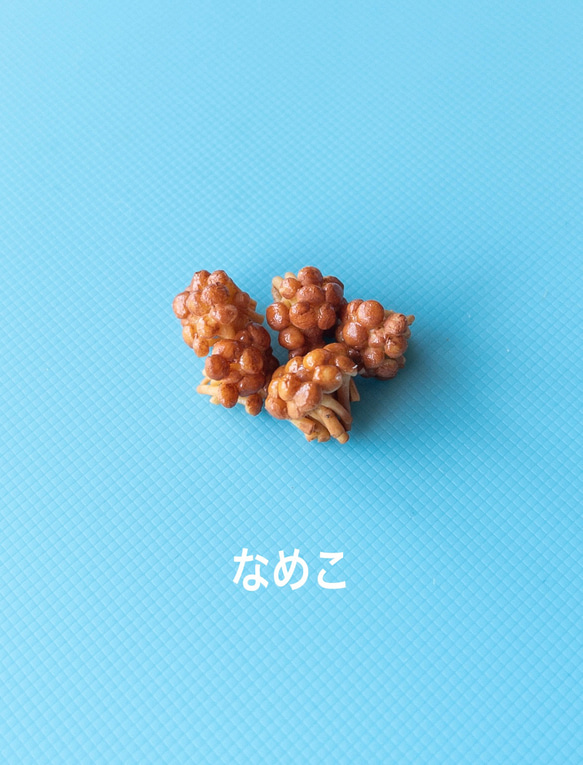  第7張的照片