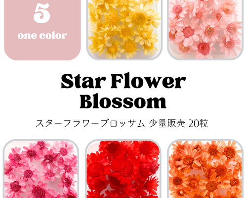 a098c43b661deffe1d5e3859b4a7c0