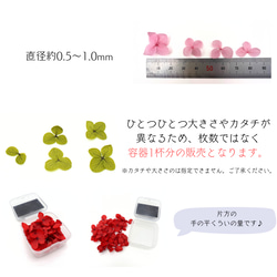 【 あじさい 小分け 】 プリザーブドフラワー 少量 ヘッドのみ 花材 レジン 材料 素材 花素材 3枚目の画像