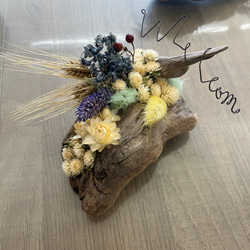 62d0125c4ef19969208c100f571662