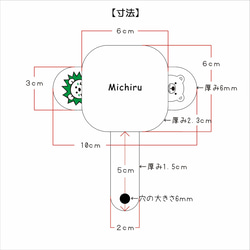  第11張的照片