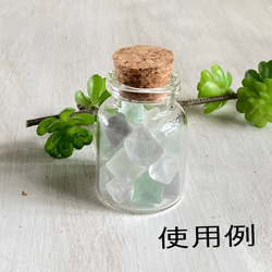  第7張的照片