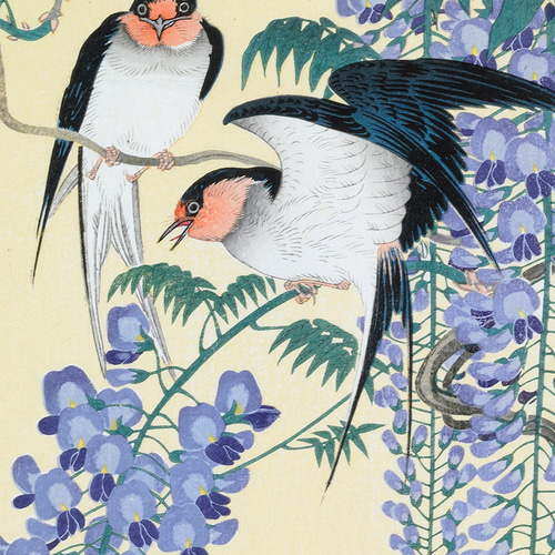 NO.494】ツバメと藤の花の日本画アートポスター和柄植物浮世絵和モダン