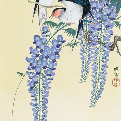 粛粲寶作☆ツバメと花 日本画 NO.494】ツバメと藤の花の日本画アートポスター和柄植物浮世絵和モダン