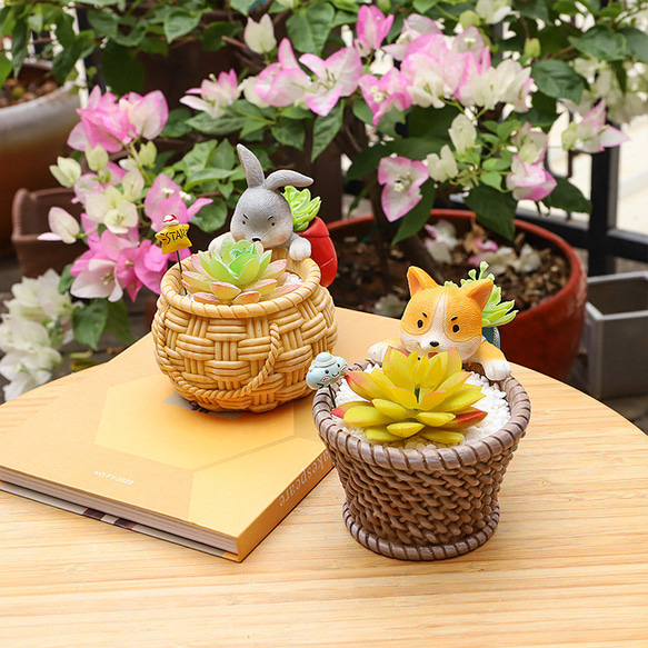 植木鉢 小型 かわいいコーギー うさぎ 卓上用 多肉植物用フラワーポット ペンホルダー 花器 収納 装飾品 4枚目の画像