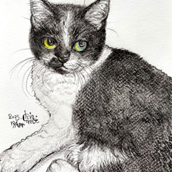 猫 原画 #170 猫の絵198 水彩画 原画 サビ猫 - メルカリ
