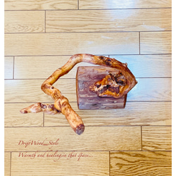 流木インテリア うねる枝が個性的な小型の流木スタンド ランタンやエアプラントを飾れる置物 北欧 照明 木材 癒し N2 10枚目の画像